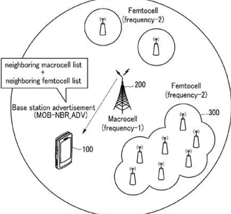 Fig. 1: Basic structure of Macro and femto cell 
