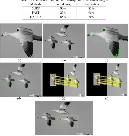 Table 1  Experiments result for blurred image and illumination images 