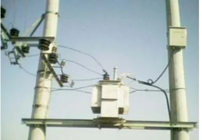 Figure 1.  Distribution transformer in rural power network of China 