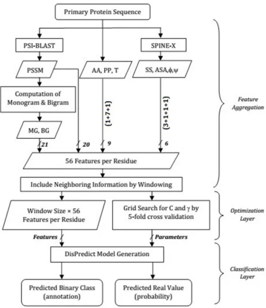 Fig 2. Overview of feature aggregation, optimization-layer and classification-layer in DisPredict