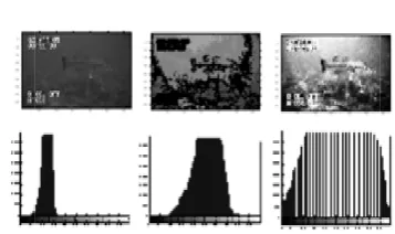 Fig. 7 a), oonly the fish 
