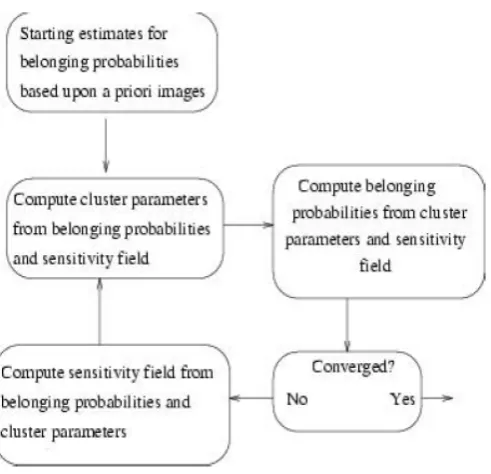 Figure .3: A flow diagram for the tissue classification.  