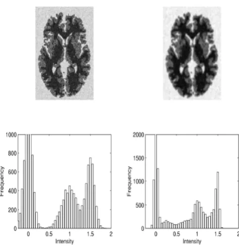 Figure 4: Simulated data showing the effects of partial volume on the intensity histograms