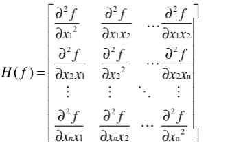 Figure 3.  The image and its first order derivative map 