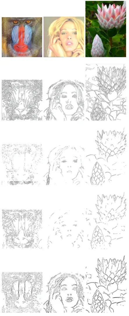 Fig. 7.         