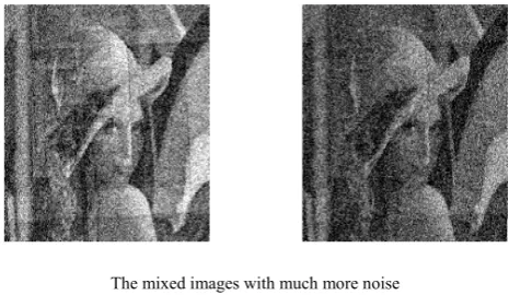 Fig.6 The separated images by NOISYFASTICA 