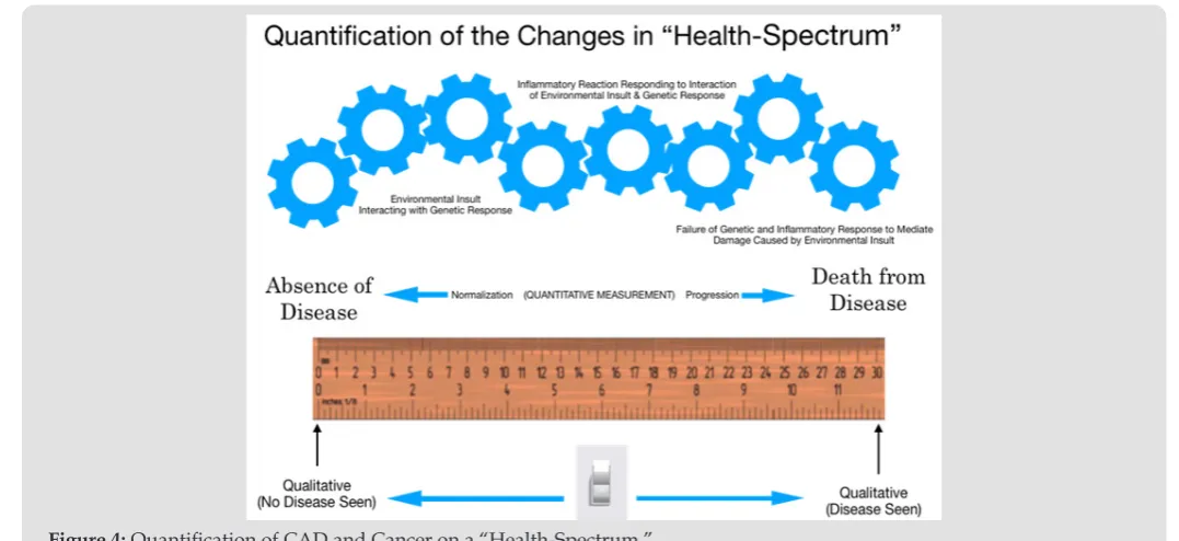 Figure 4: Quantification of CAD and Cancer on a “Health-Spectrum.”
