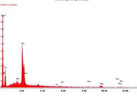 Figure 5. EDS diffractogram of micrographs of egg shell membrane before Cr  uptake. 