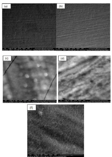 Fig.( MnO2)SEM micrographs of (a) as received bare SS, (b) etched bare SS, (c) potentiostatically deposited 2/SS, (d) galvanostatically deposited MnO2/SS, (f) potentiostatically deposited MnO2 after cyclic stability investigation