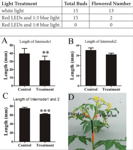 Fig. 4. Number of flower buds and rates of fruit set under different light-quality environments