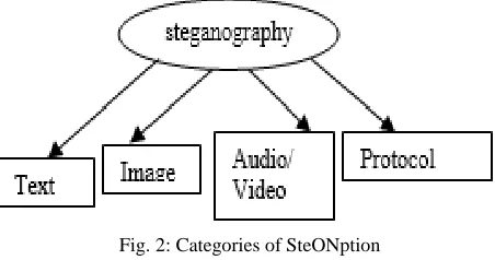 Fig. 2: Categories of SteONption 