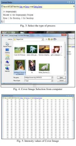 Fig. 5: Intensity values of Cover Image 