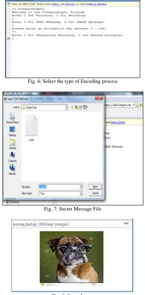 Fig. 8: Stego Image 