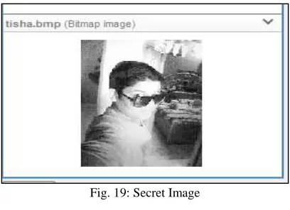 Fig. 19: Secret Image 