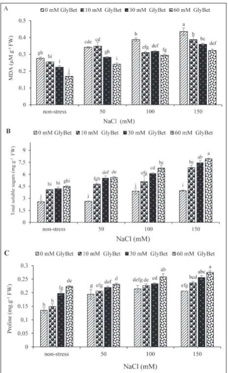 Fig. 3. Effects of GlyBet pretreatment and NaCl concentrations on MDA (A), total soluble sugars (B) and proline (C) concentrations in safflower