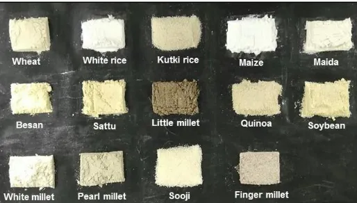 Figure 1  A pictorial presentation of various staple Indian grain flours used in this study