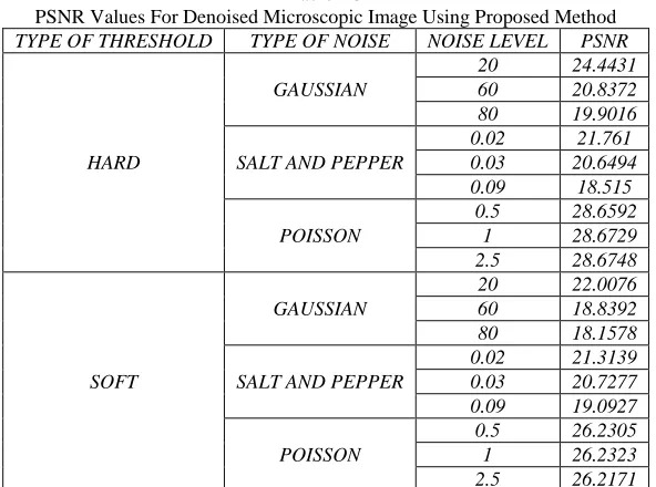 Fig. 14: Denoised Microscopic Image under Salt & Pepper Noise with Noise Density 0.05 