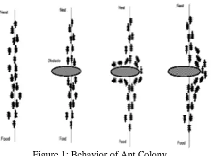 Figure 1: Behavior of Ant Colony  