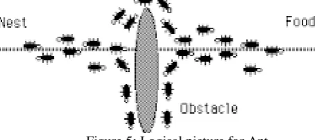 Figure 5: Logical picture for Ant 