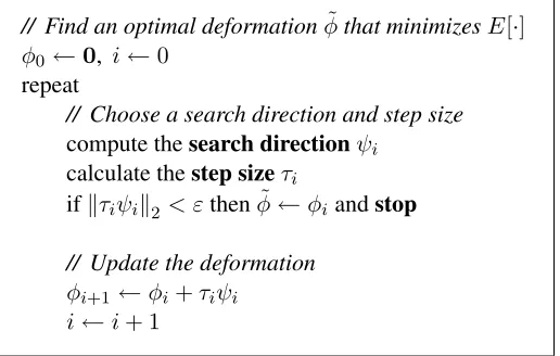 Figure 3.2: Pseudo-code for the optimization algorithm.