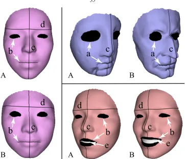 Figure 3.5: Examples of user-deﬁned feature sets: (a) coarse registration of geometric features; (b)aligning texture features; (c) lines of symmetry; (d) preventing smooth, rigid regions from sliding;and (e) increasing the elasticity of highly deformable regions.