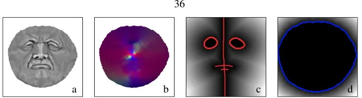 Figure 3.6: Surface properties are evaluated once and rasterized into images for (a) mean curvature A ; (b) the metric tensor g A , with components shown as rgb values; (c) the distance map for thefeature set FA , shown in red; and (d) the distance map for the characteristic function χϵA , with thedomain boundary ∂ ωAin blue.