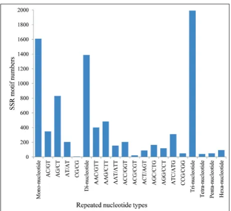 Fig. 4. Distribution and frequency of SSR classification in differ-ent nucleotide types of L