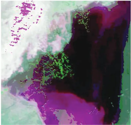 Figure 6. Artiﬁcial visual interpretation of the E9 image.