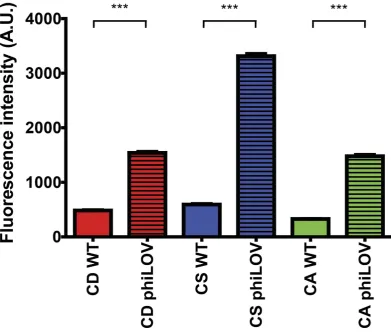 Figure 2. Results shown are mean Expression of phiLOV in different Clostridium species