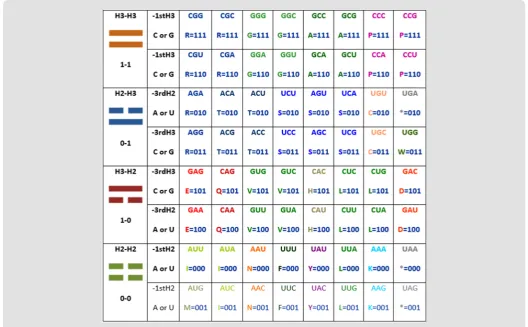 Figure 2: The H-bonds file compression of the codons by taking into account only the two first nucleotides of the codon as Niremberg did in his initial column of his never published original handwritten drawing, until now by me [1], and here in its origina