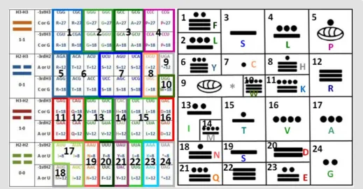 Figure 6: The most extreme file compression of amino acids in the genetic code by grouping them through their exchangeability and compatibility [11]