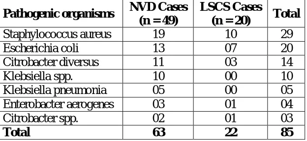 Table 2: Table showing number various anaerobic organisms from vaginal swabs in    