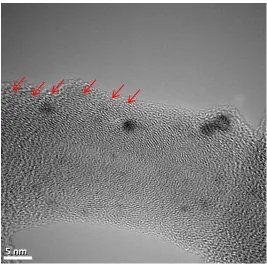 Figure 1. TEM image (JEM-2100F) of the 1 wt.% Pt/N-CNFs catalyst after testing of the sample in 