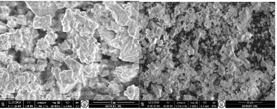 Figure 9. TG and DTA Analysis of Randomly Selected Micronized Calcite Product 
