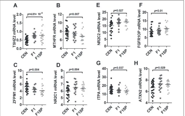 Fig. 2. Expression of genes involved in HGB metabolism. HGB − hemoglobin; CEN − centenarians; F1 − centenarians’ first generation; F1SP − spouses of F1 offspring.