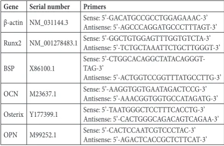 Table 1. Primers used in this study