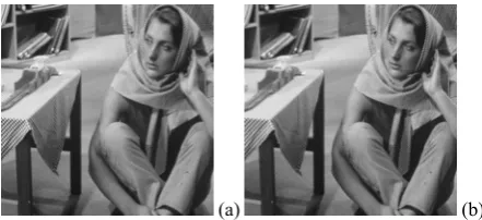 Figure 2. (a) Original host image ‘Barbara’. (b) Watermarked image 