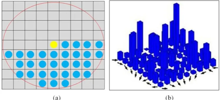 Fig 1: Extraction of Co-HOG features: (a) offset used in Co-HOG, (b) Co-occurrence matrix for the given offset   