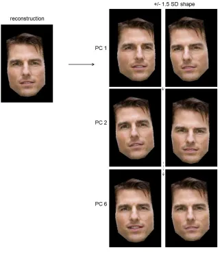 Figure 4. A reconstructed image of Tom Cruise (left) and the effects of manipulating values on 1st, 2nd and 6th shape eigenvectors, while holding all other values constant