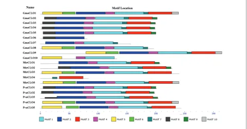Fig. 1. Distribution of conserved motifs in 20 caleosin proteins of legumes. Sequences and annotations of the motifs are shown in Table S1.