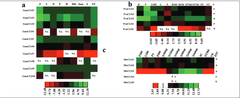 Fig. 4. Expression profiles of caleosin genes. Profiles in soybean (a), common bean (b) and barrel medic (c)