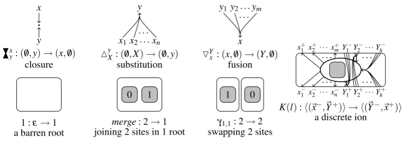 Figure 2: Elementary Bigraphs over polarized signatures.