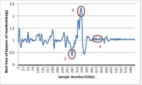 Figure. 1 Acceleration data of a typical fall  
