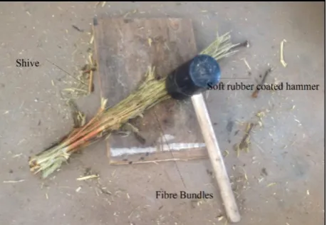 Fig 2.1. Showing natural water retting of cotton stalks at initial (a) and after three weeks (b) After the retting process the cotton stalks were subject to manual decortication using a rubber coated hammer to avoid damage to the cotton stalk fibres as sho