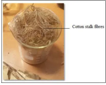 Fig 3.1. Extracted cotton stalk fibres in a beaker  cotton stalks. The properties of fibres from the different sections were analysed using one way Multi-variance Analysis (MANOVA) on SPSS software to access the significance of the difference in properties