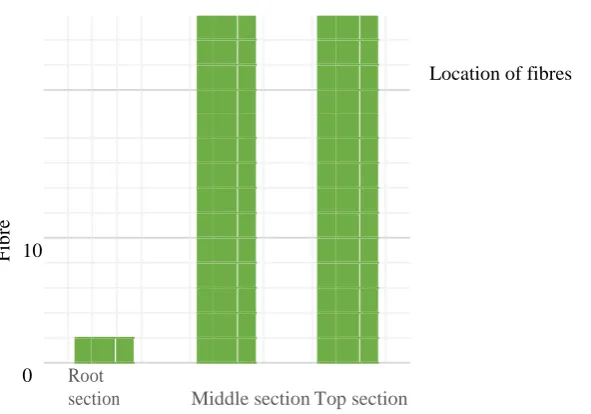 Fig 3.2. Fibre tenacity results for fibres from different sections of the cotton stalkOne way multi variate analysis test was carried out on the data from the mechanical properties of the cotton stalk fibres