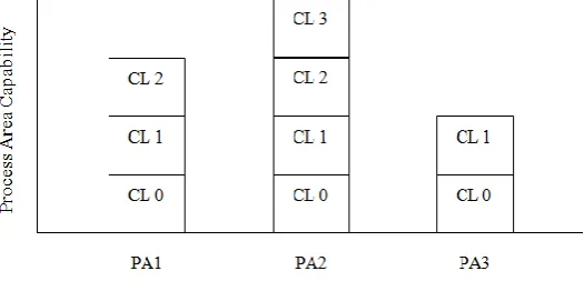 Fig. 4 Capability Levels 