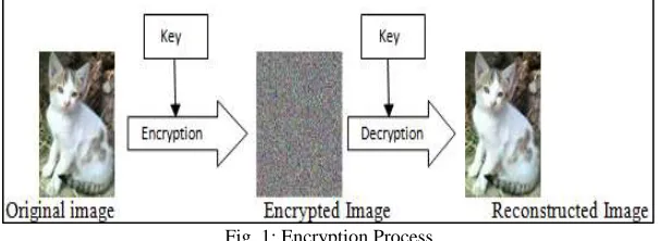 Fig. 1: Encryption Process 