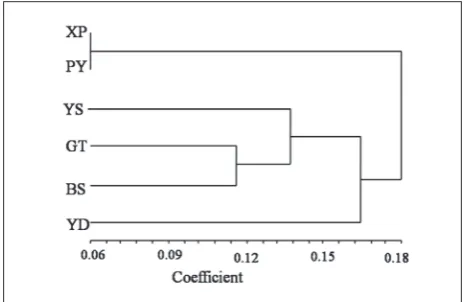 Fig. 2. Dendrogram of the six sampled locations of H. micro-cephala obtained by unweighted pair-group method with arith-metic average (UPGMA) cluster analysis and SM coefficient using NTSYS-pc version 2.02 software package.