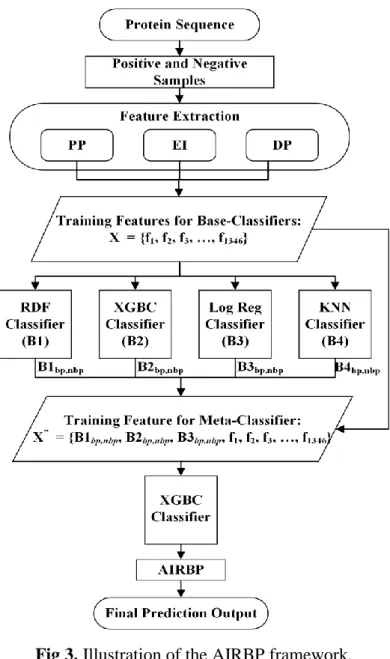 Fig 3. Illustration of the AIRBP framework. 